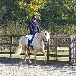 Lucy and Cisco competing in dressage
