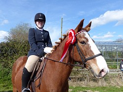 Zippy 14.2hh jumping pony