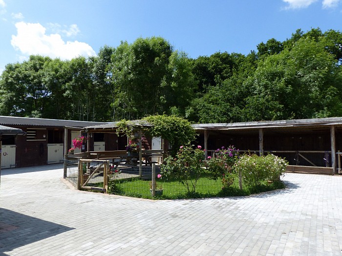 The stables, decking area and pony barn