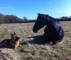 Roxxi and Jet!