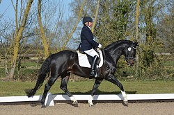 Vicki and Dante at Hickstead