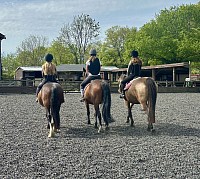 Horse riding lesson