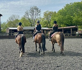 Horse riding lesson