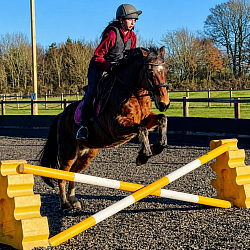 Horse jumping